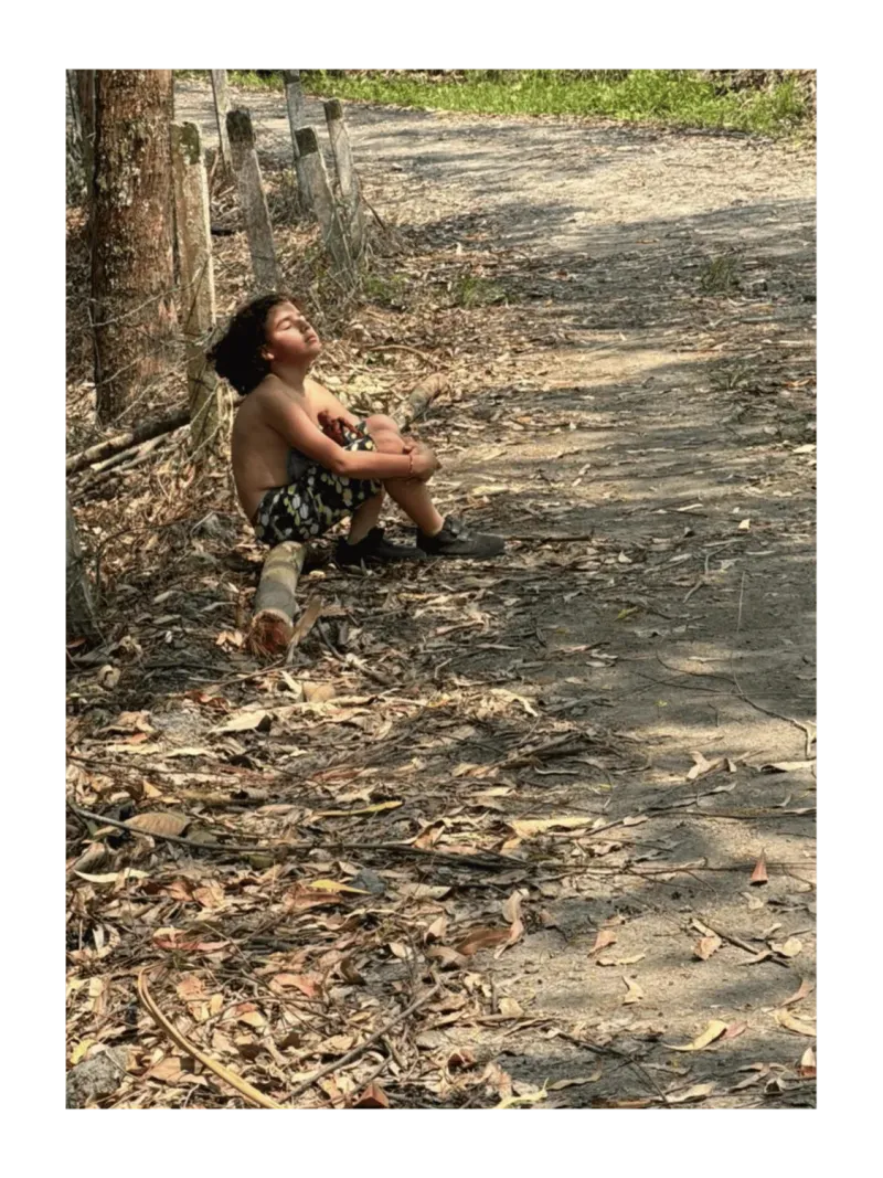 Vista aérea de la Cabaña Bague