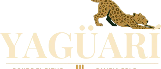 Yagüarí